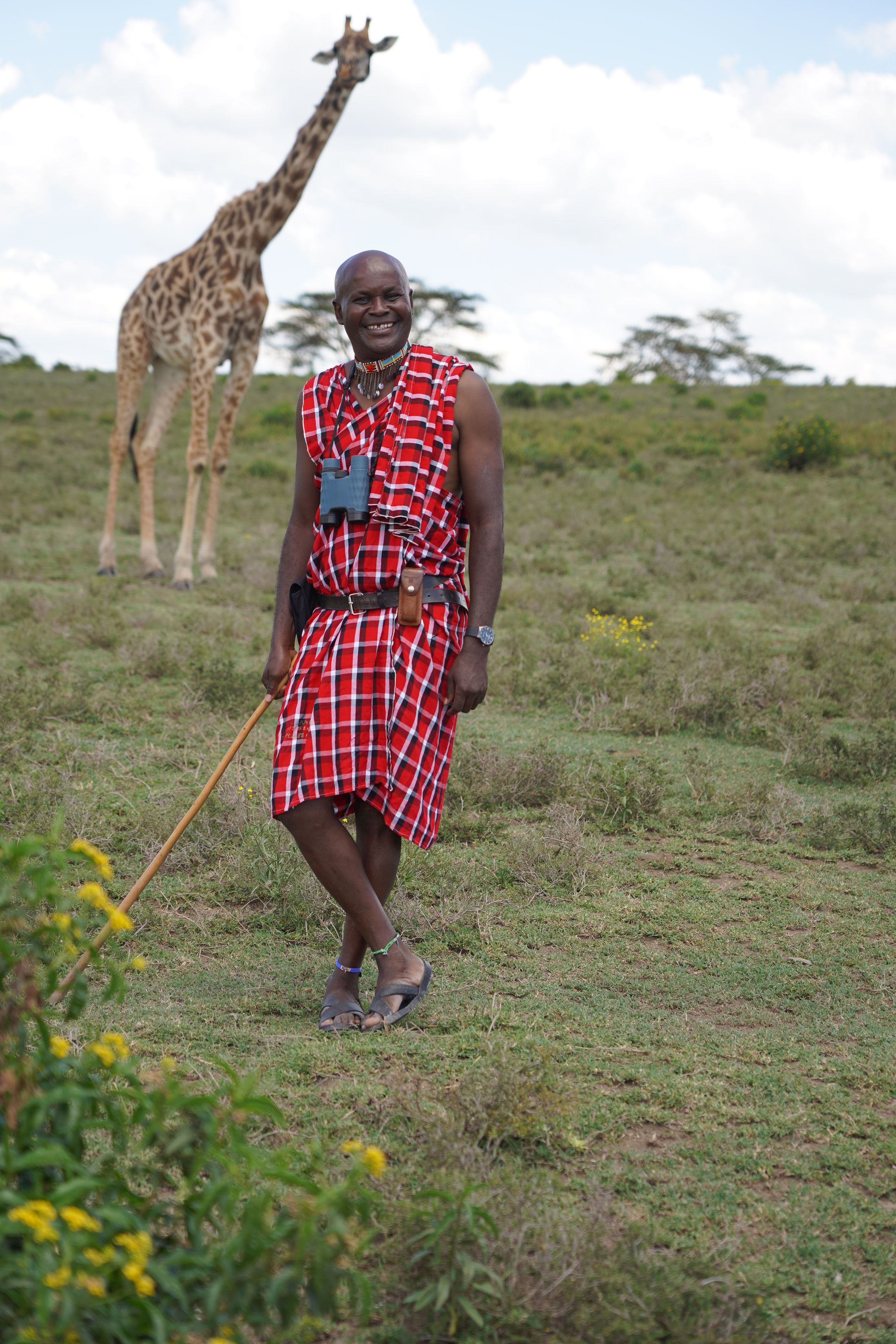 A smiling Maasai guide in a red check shuka with binoculars round his neck, a giraffe standing tall on the open plain behind him.