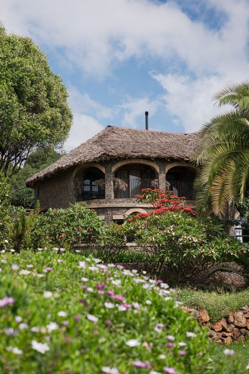 The arched, thatched facade of O'Leleshwa seen above terraced flower gardens of daisies and pelargonium, a palm at the left.
