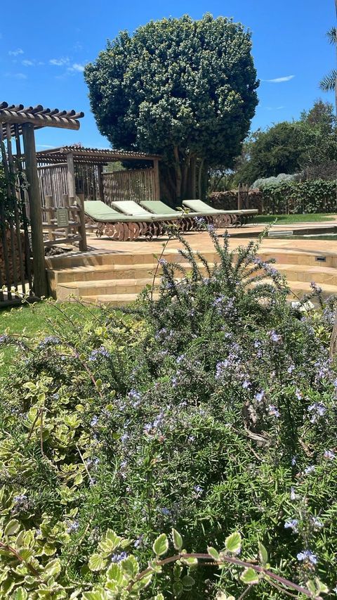 Green-cushioned loungers on the sandstone paving at the estate's pool, a timber pergola to one side and a clipped tree behind, with flowering rosemary and variegated foliage filling the foreground.