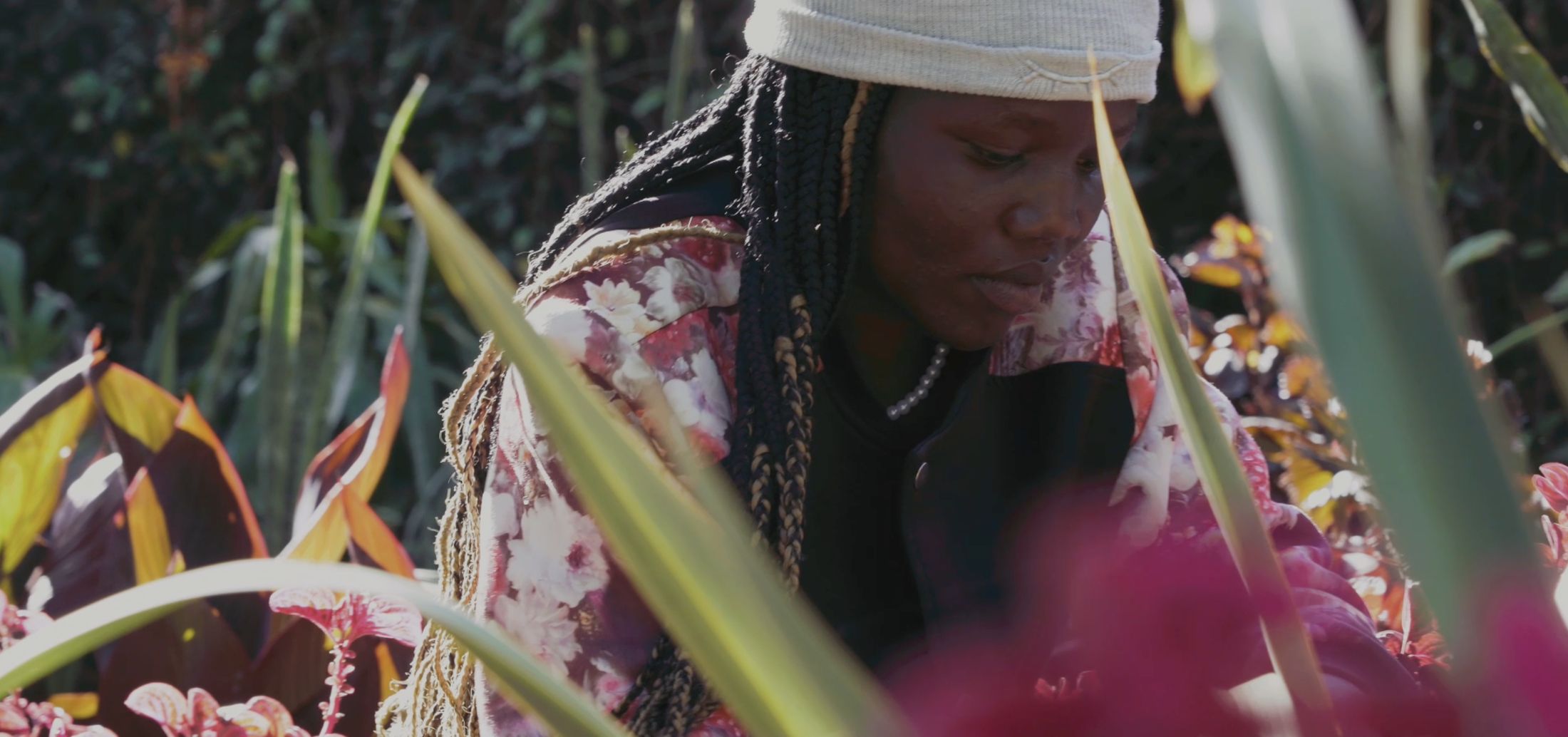 A gardener in a white beanie and floral jacket working in the terraced beds, seen through backlit canna leaves.